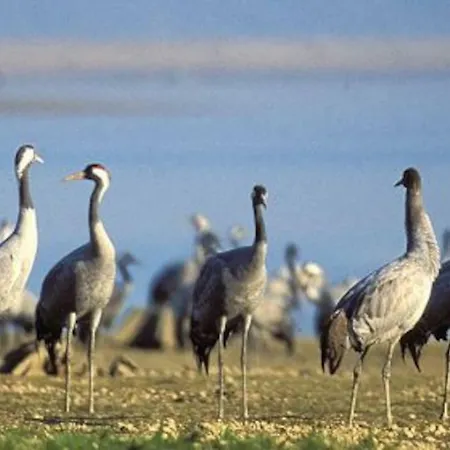 Chez Karinette Holiday home *